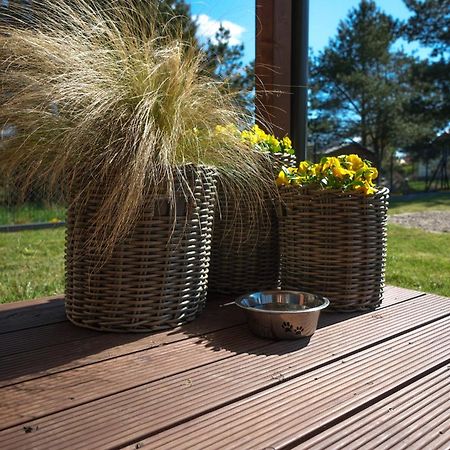 Westfalowachatka Domek Z Jacuzzi 萨希诺 外观 照片